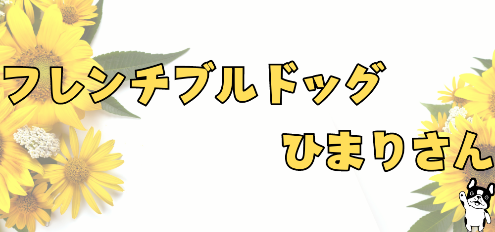 フレンチブルドッグひまりさんとお世話係夫婦