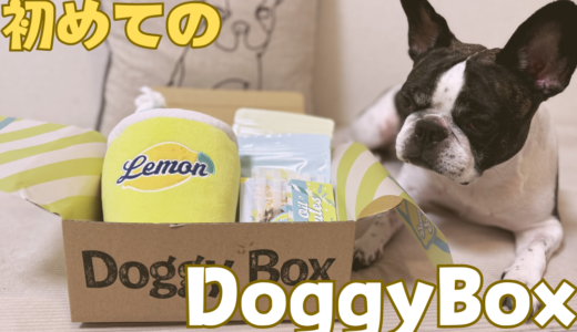 初めてのDoggy Boxが届いた！